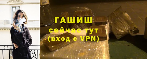 гашик Бикин