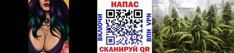 хочу   Николаевск-на-Амуре  МАРИХУАНА тримм 